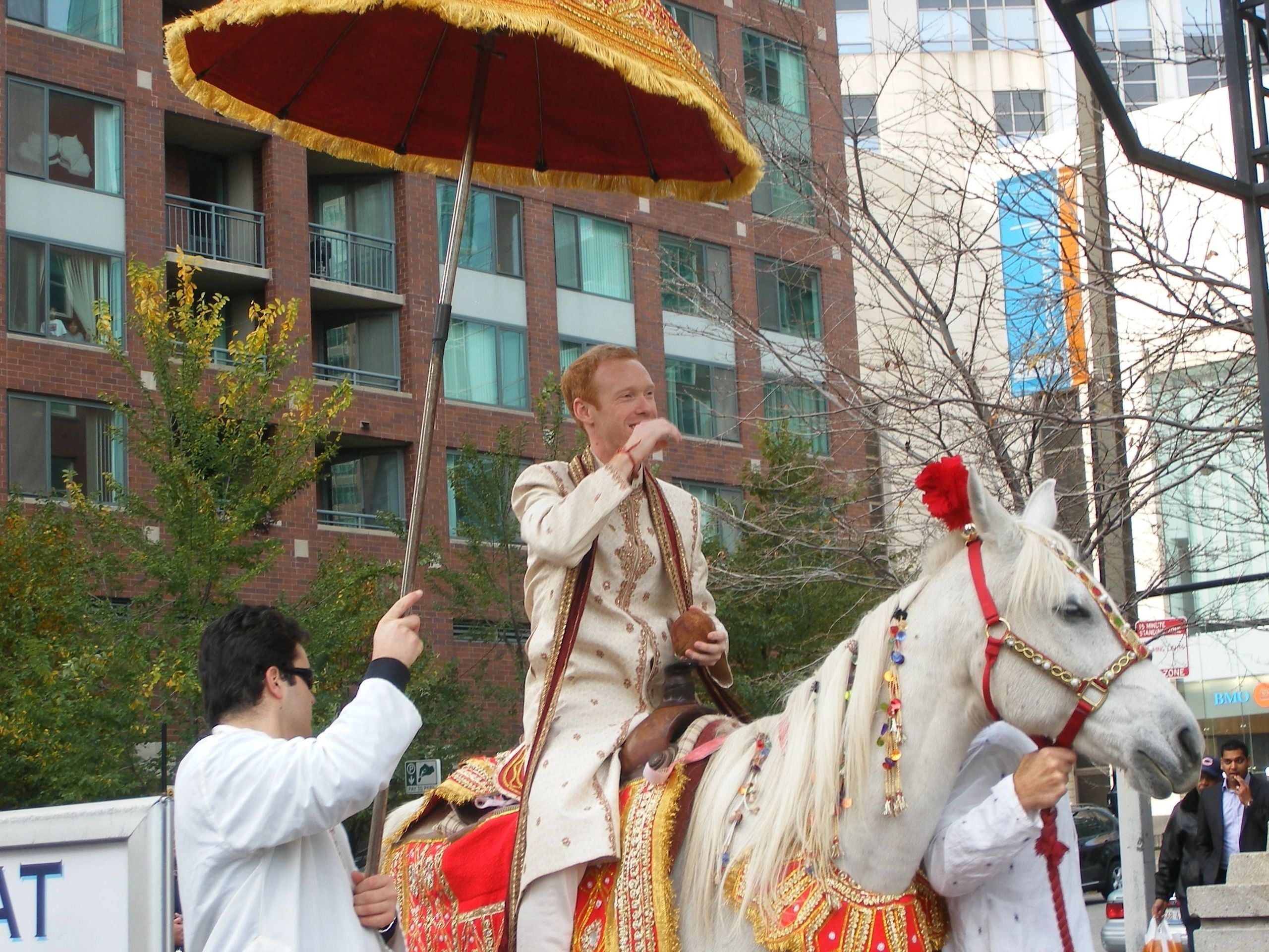 Maharaja Farm | Baraat Horse